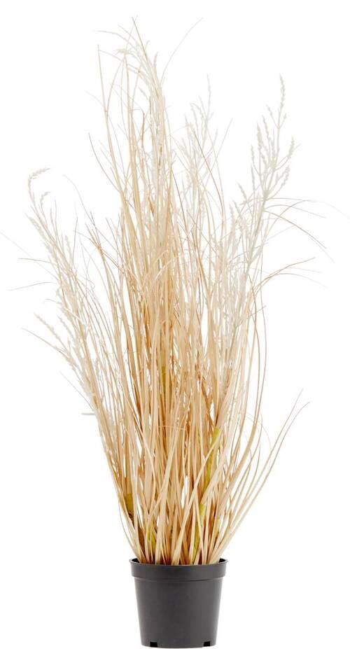Umetna Rastlina Zyperngras - črna/naravne barve, Basics, umetna masa (60cm) - Modern Living