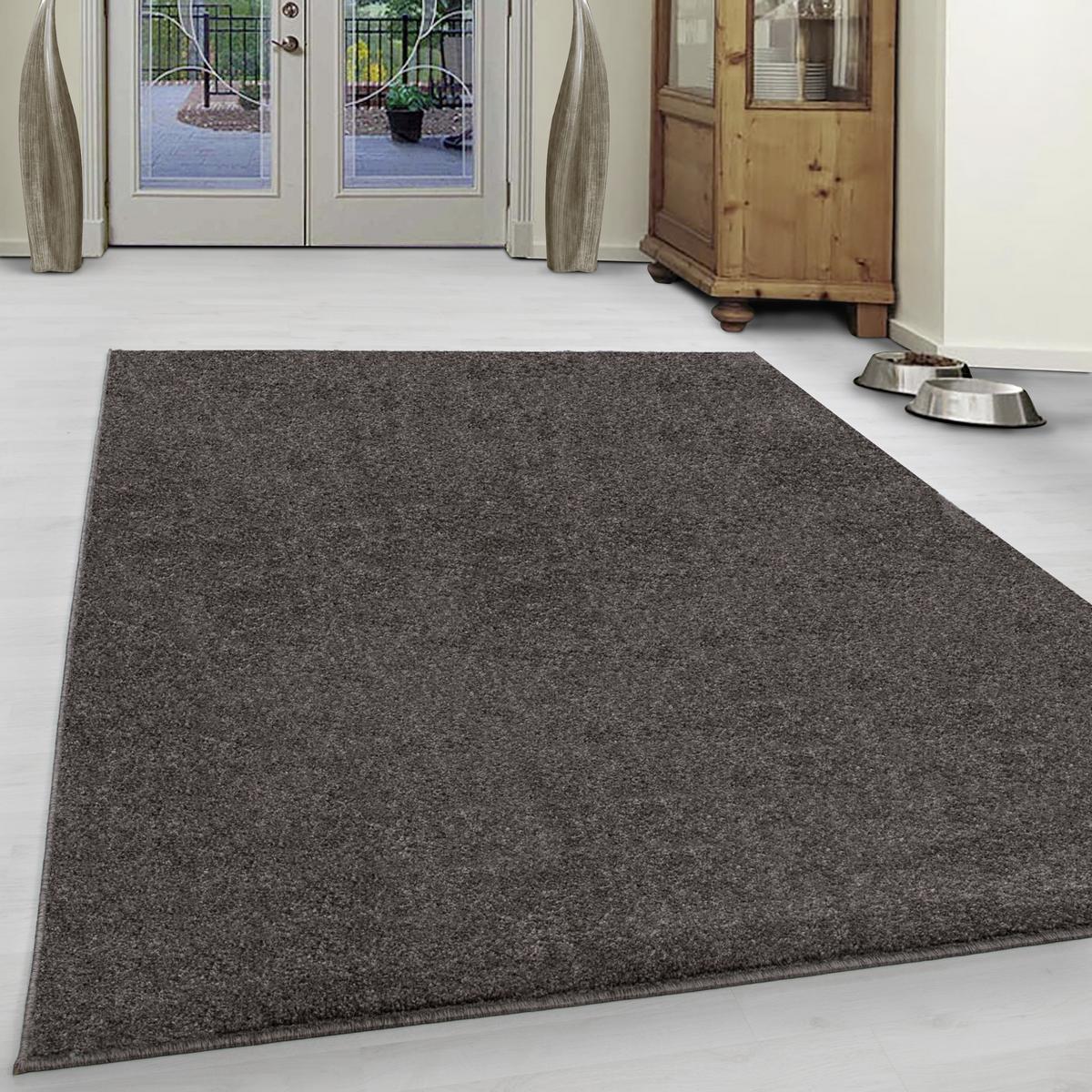 Hochflorteppich Ata 700 Hellbraun ca. 280x370cm - Hellbraun, Design, Textil (280/370cm) - Novel