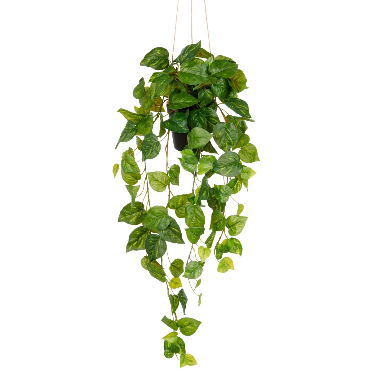 Kunstpflanze Philodendron Hederaceum Grün ca. 75cm - Schwarz/Grün, Basics, Kunststoff (75cm) - P & B