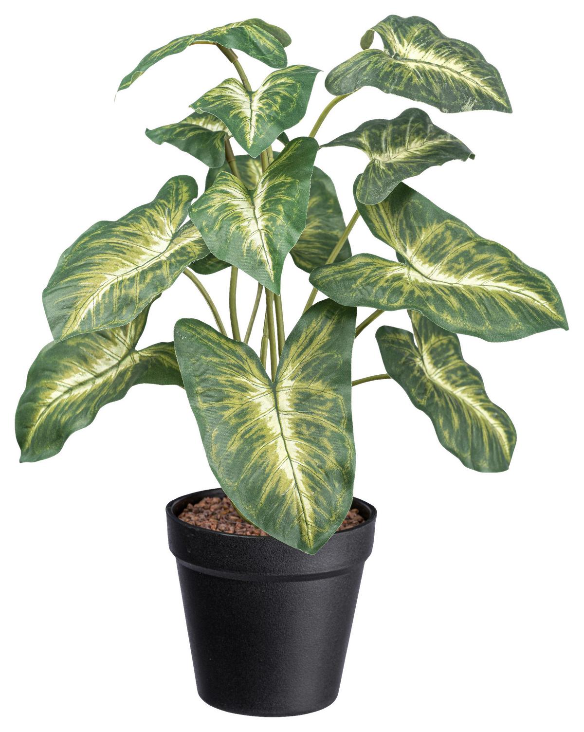Kunstpflanze Syngonium II in Grün - Schwarz/Grün, Basics, Kunststoff (38cm) - Modern Living