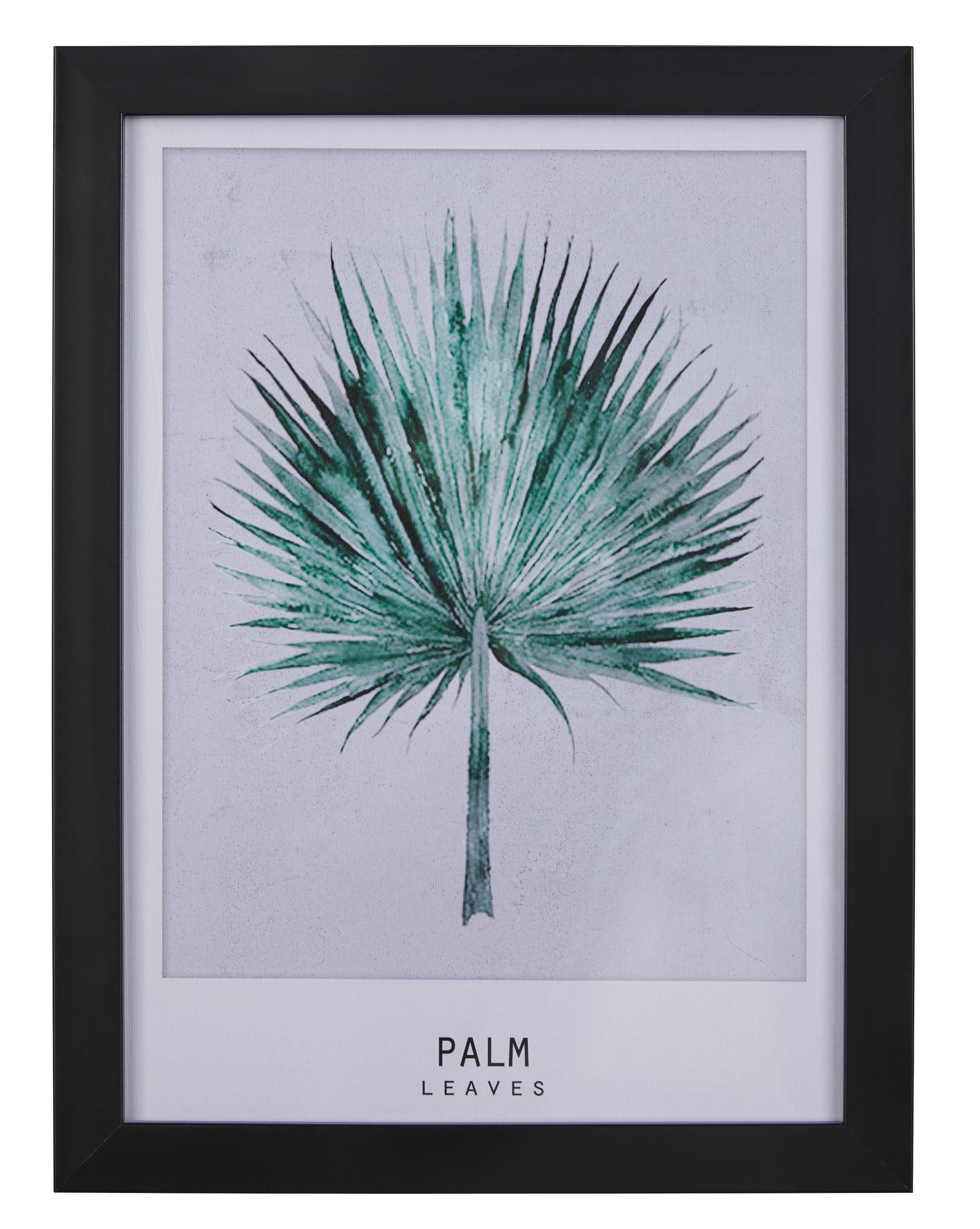 Bild Palm Grau/Grün ca.30x40x1,7cm - Schwarz/Grün, MODERN, Kunststoff (30/40/1,7cm) - Bessagi Home