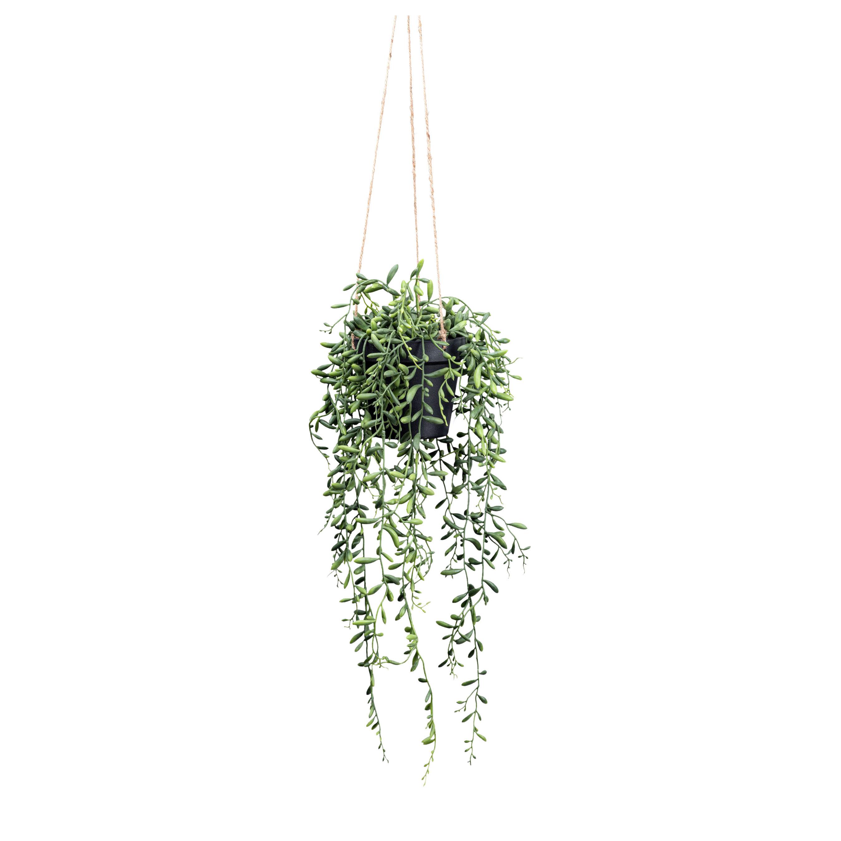 Kunstpflanze Senecio Herreianus II in Grün - Grün, Lifestyle, Kunststoff (55cm) - Modern Living