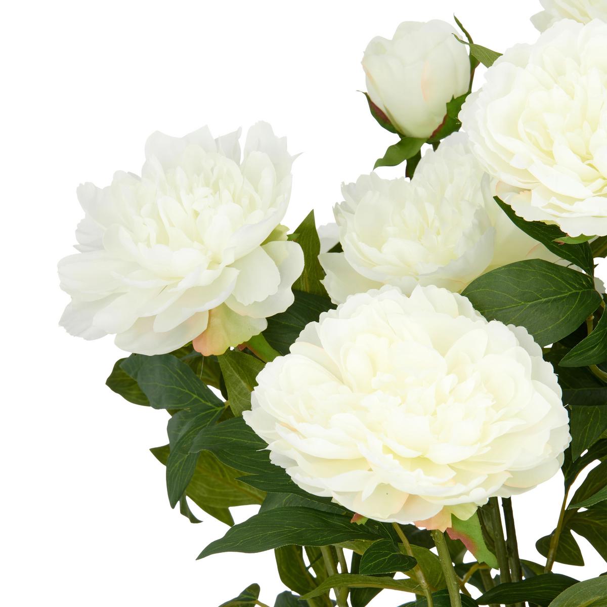 Kunstpflanze Peonien Creme ca. 80cm - Creme/Grün, Basics, Kunststoff (26/80/26cm)