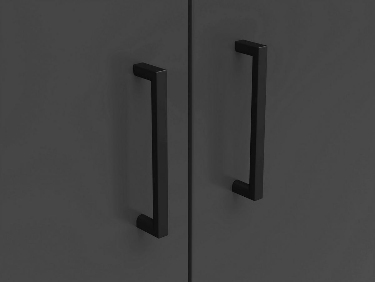 Komoda Multi - boje grafita/antracit, Moderno, drvni materijal/plastika (80/83/40cm) - Modern Living