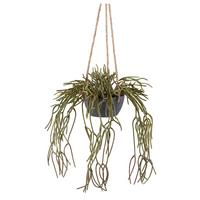 Kunstpflanze Sukkulenten Grün/Grau - Grau/Grün, Design, Kunststoff (40cm)