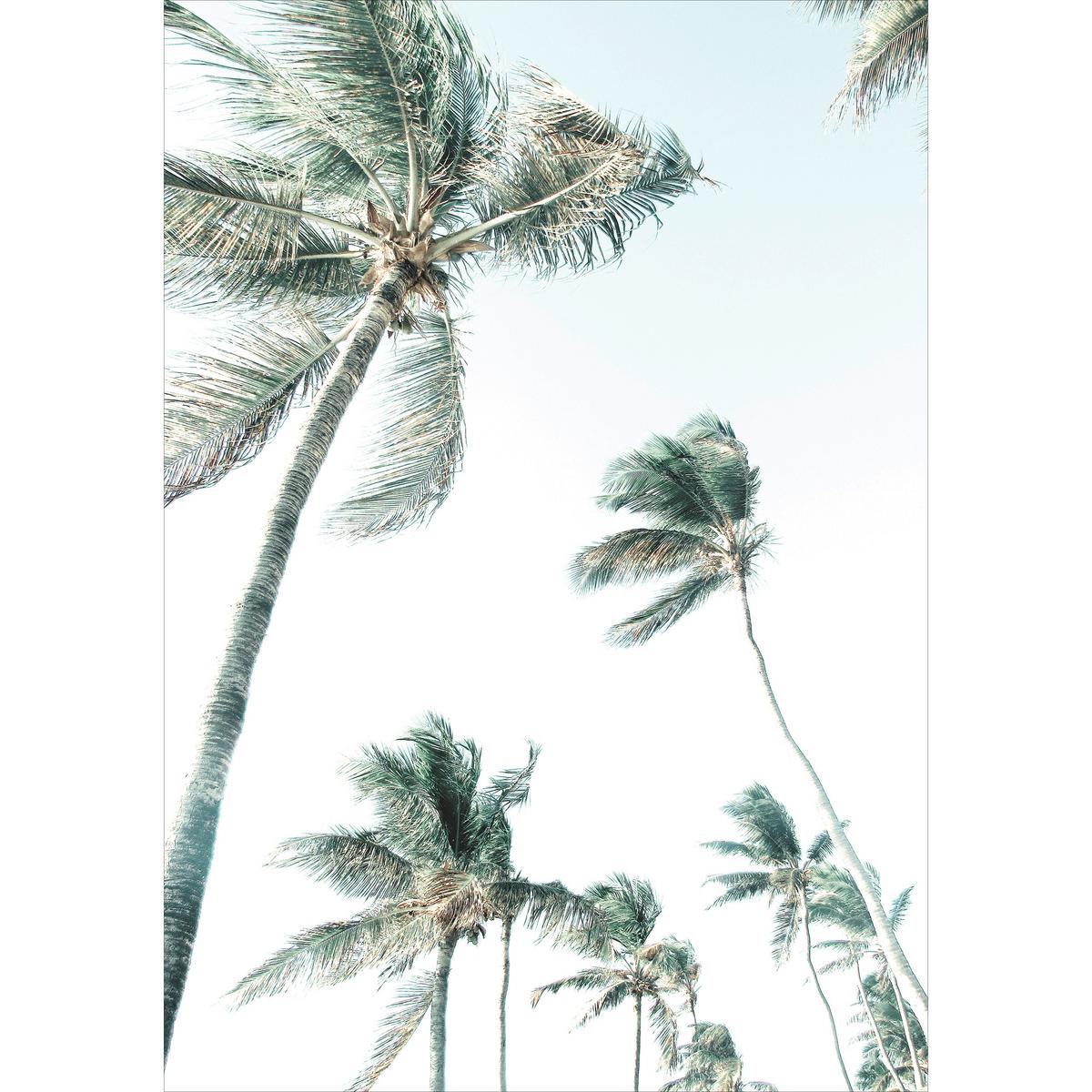 Poster Vincent diverse Designs - Multicolor, Papier (21/30cm) - Modern Living