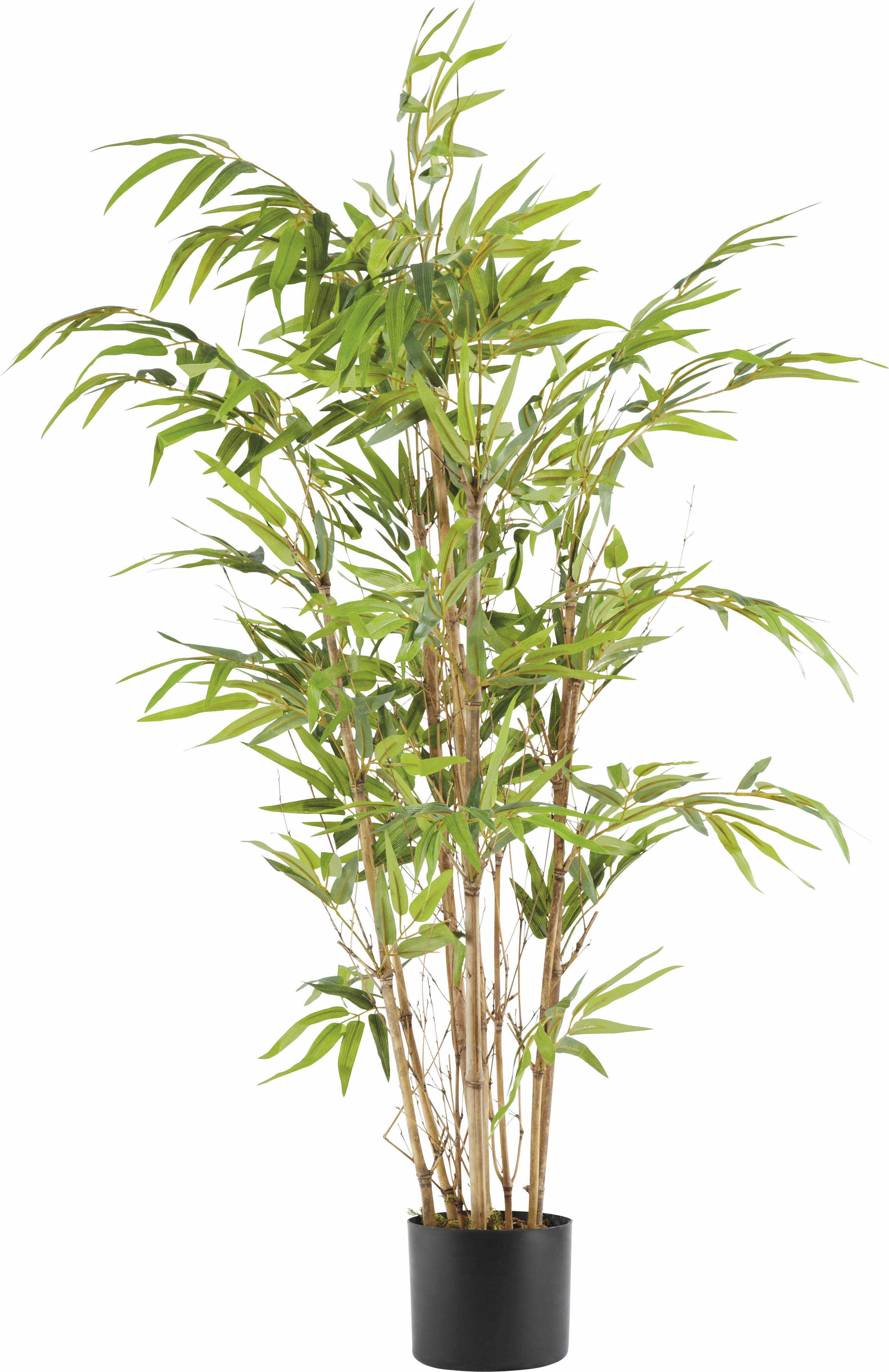 Plantă artificială Noah - maro/verde, plastic (120cm) - Modern Living