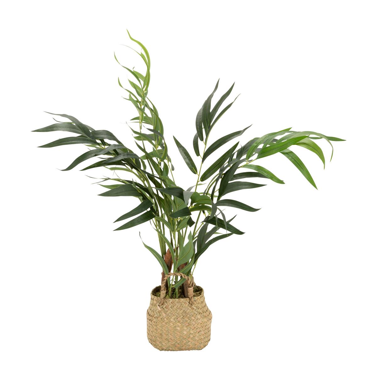 Umetna Rastlina Chamaedorea - svetlo rjava/zelena, Basics, umetna masa/tekstil (50/65/50cm) - MID.YOU