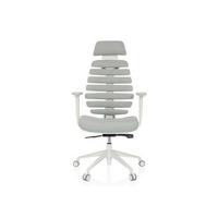 Pisarniški Stol Ergo Line W, Svetlo Siva - bela/svetlo siva, Moderno, umetna masa/tekstil (67/116 - 133/65cm) - MID.YOU