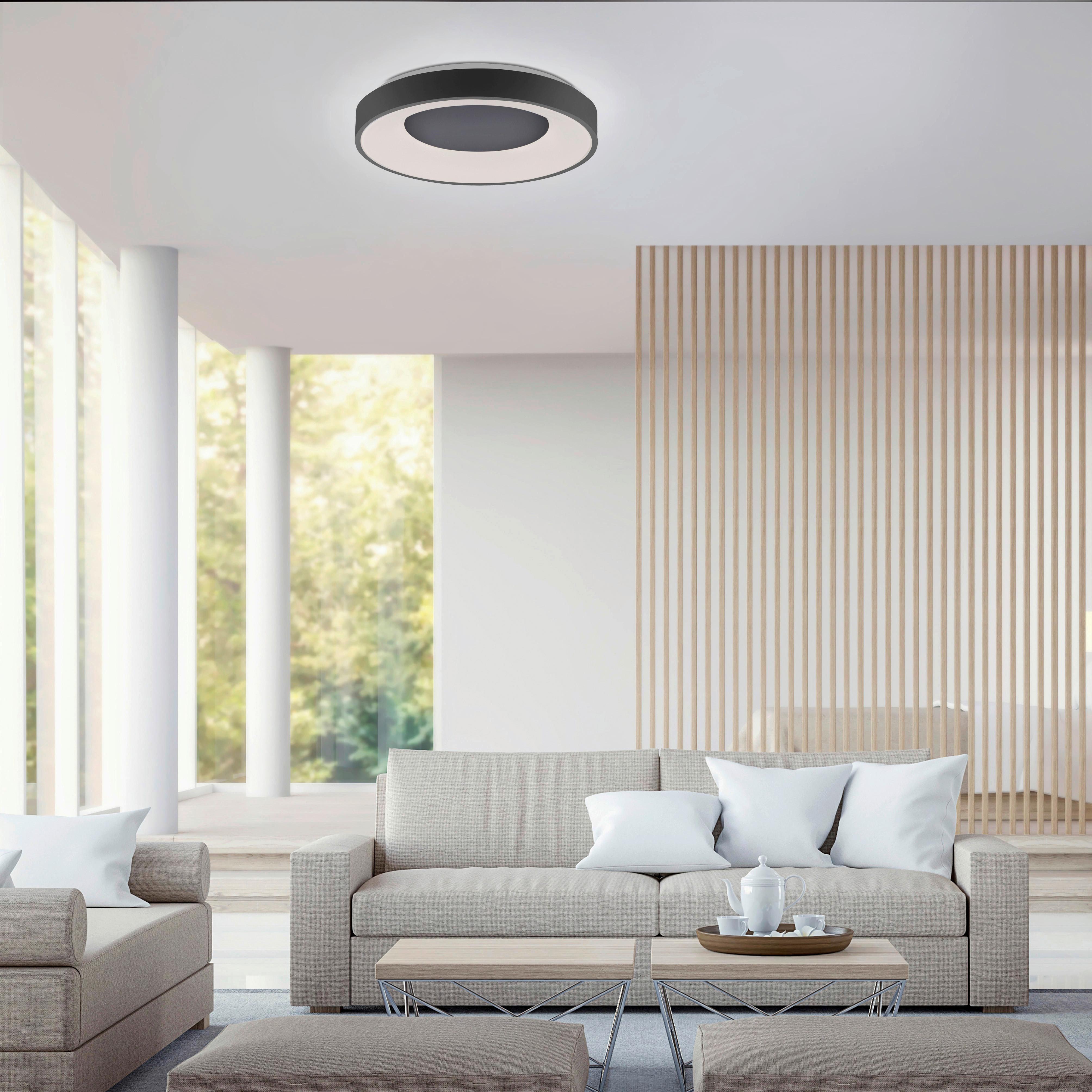 LED-Deckenleuchte Anika max. 30 Watt - Anthrazit, Basics, Kunststoff/Metall (48/7,8cm)