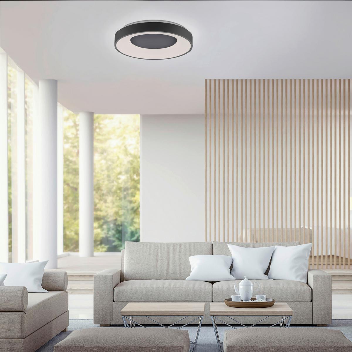 LED-Deckenleuchte Anika max. 30 Watt - Anthrazit, Basics, Kunststoff/Metall (48/7,8cm)