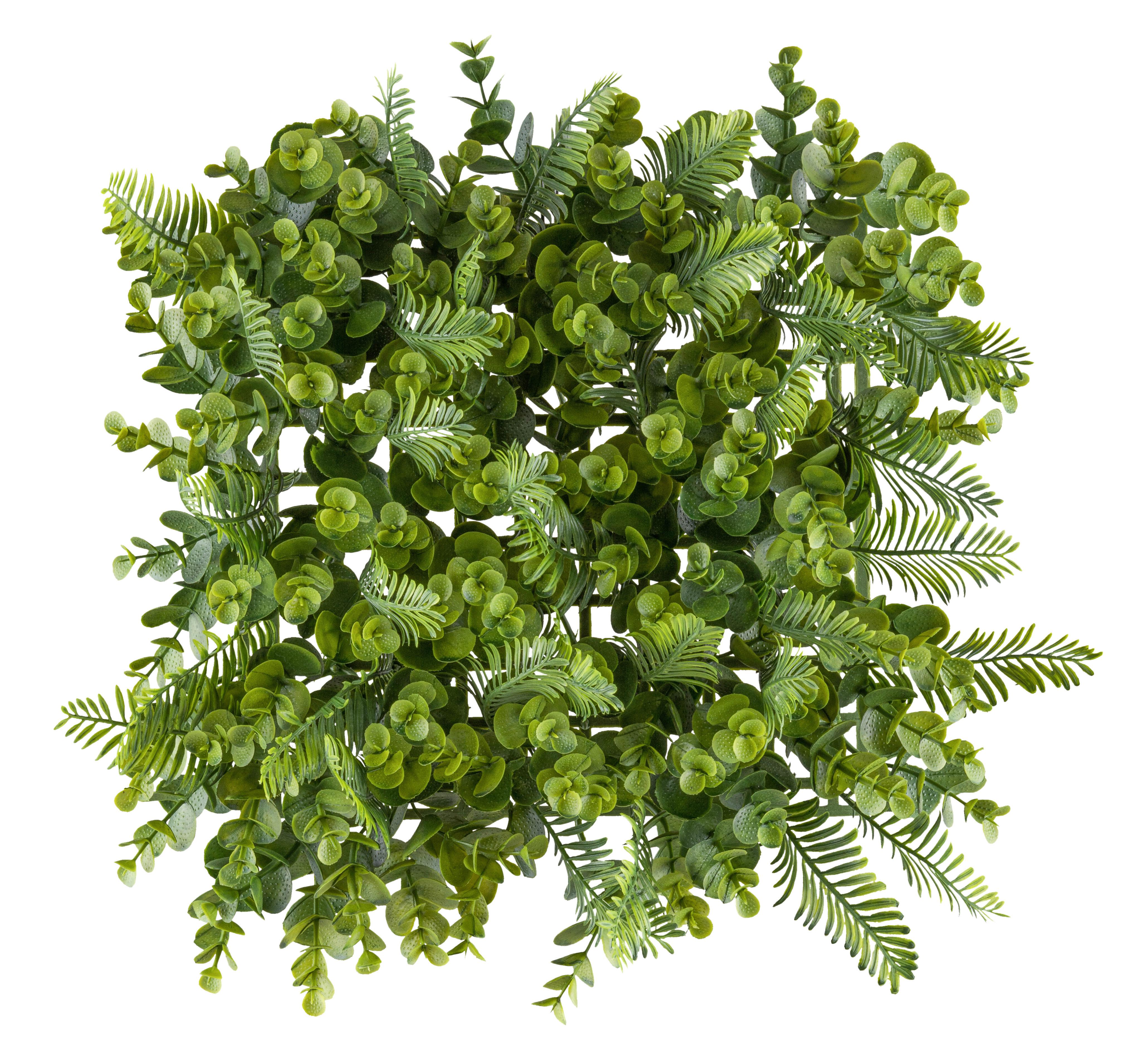 Umetna Rastlina Wandmatte Ii - zelena, Konvencionalno, umetna masa (25/25cm) - Mömax