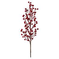Umetna Rastlina Beerenzweig I - rdeča/rjava, Basics, umetna masa (71cm) - Mömax