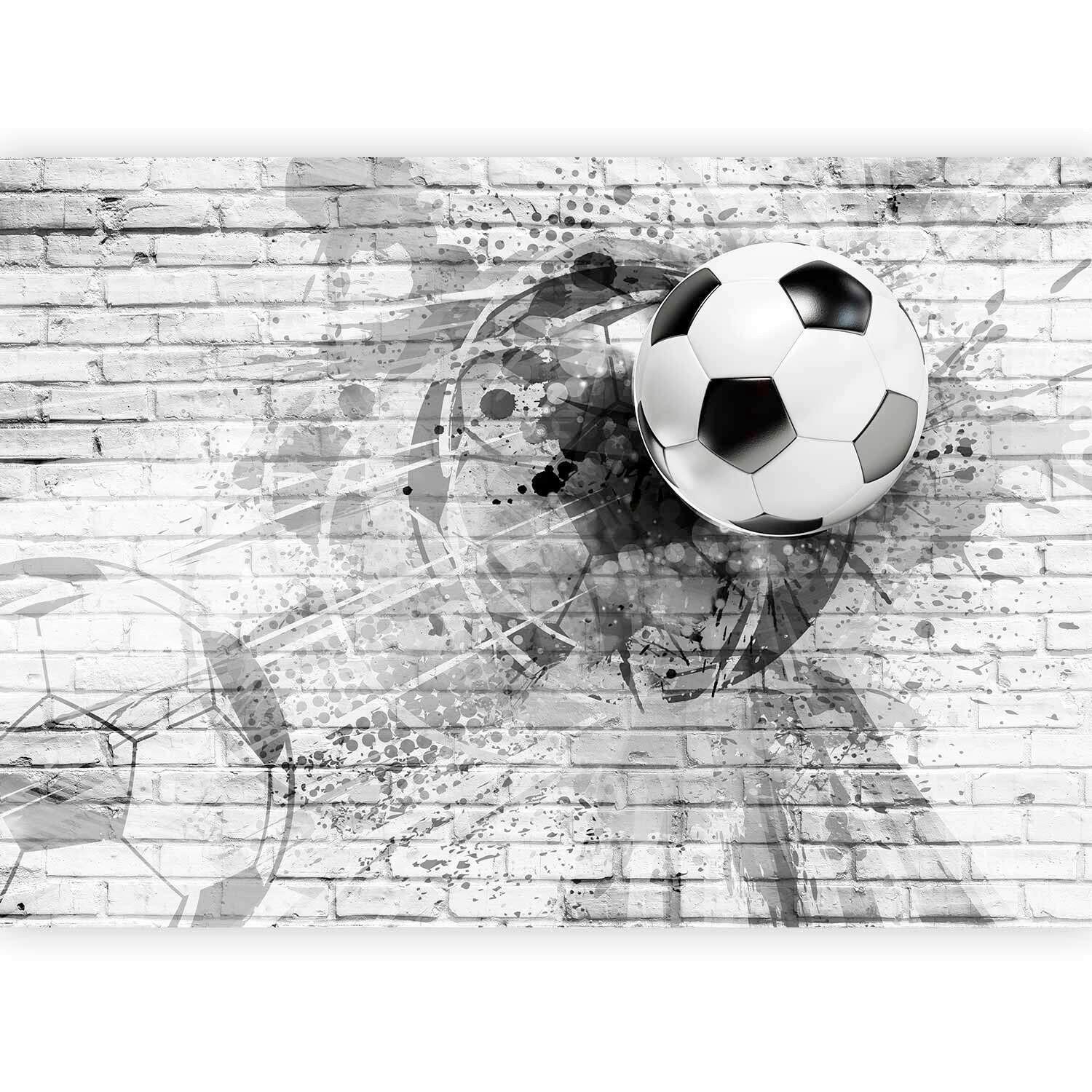 Fototapete Dynamic Football Schwarz/Hellgrau - Hellgrau/Schwarz, LIFESTYLE, Textil (450/315cm) - artgeist
