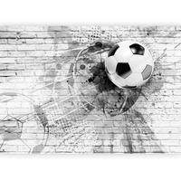 Fototapete Dynamic Football Schwarz/Hellgrau - Hellgrau/Schwarz, LIFESTYLE, Textil (300/210cm) - artgeist