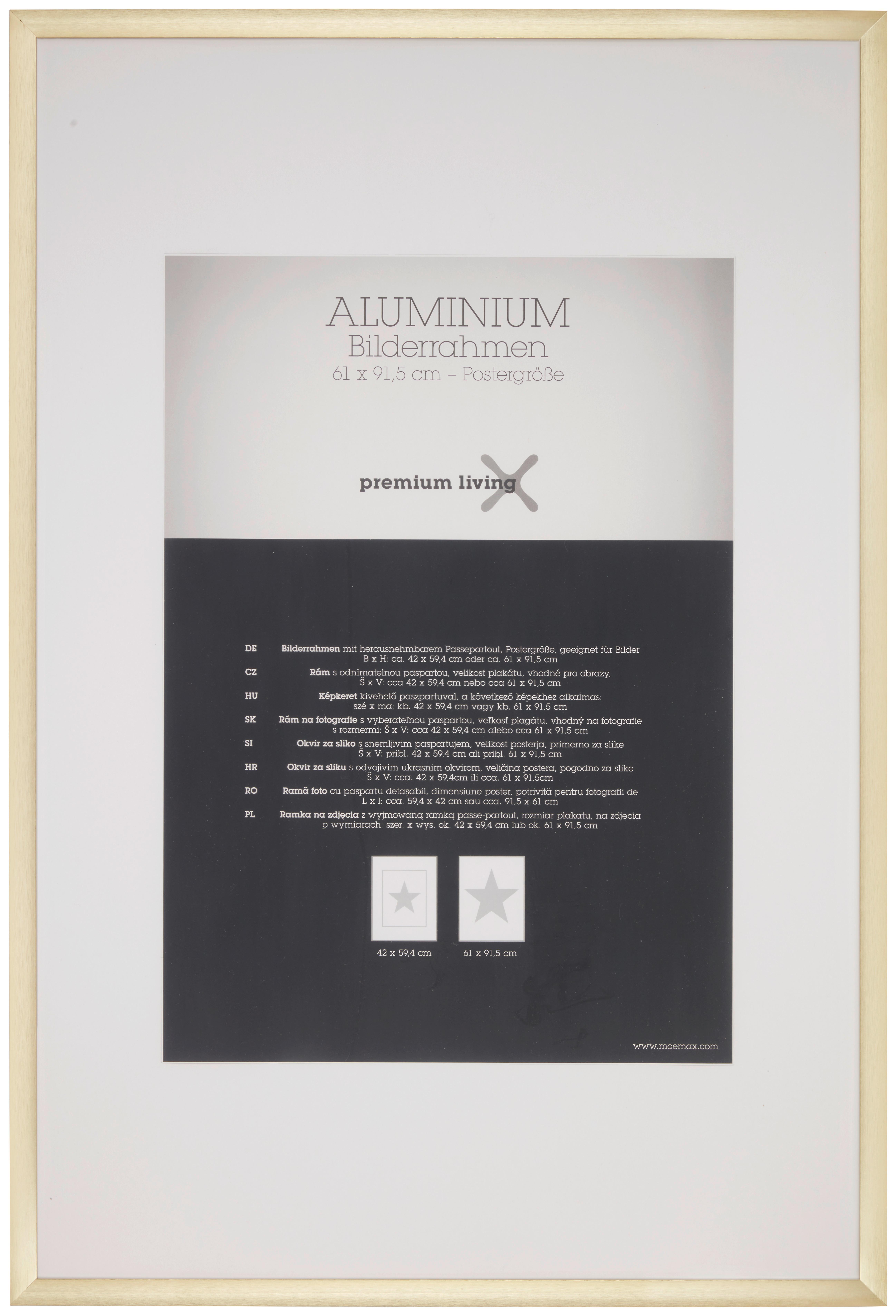 Okvir Za Slike Aluminium - zlate barve/barve medenine, Romantika, kovina (64,3/94,6/2.2cm) - Premium Living