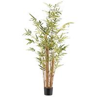 Kunstpflanze Bambus Vulgaris Braun/Grün - Schwarz/Braun, KONVENTIONELL, Kunststoff (150cm)