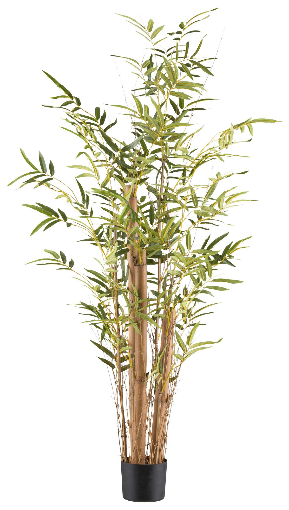 Kunstpflanze Bambus Vulgaris Braun/Grün - Schwarz/Braun, KONVENTIONELL, Kunststoff (150cm)