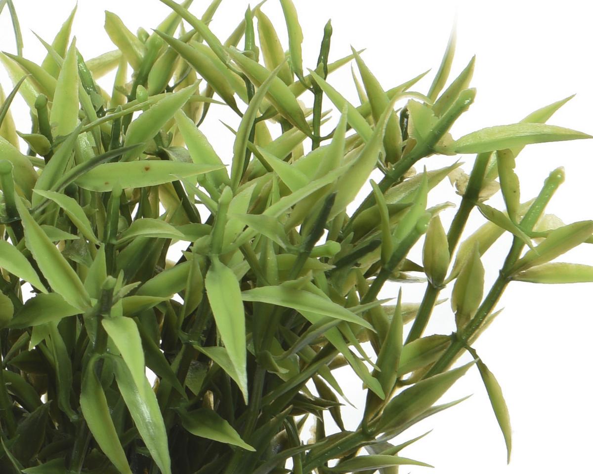 Plantă decorativă Pure Natural - Lifestyle (16/13cm)