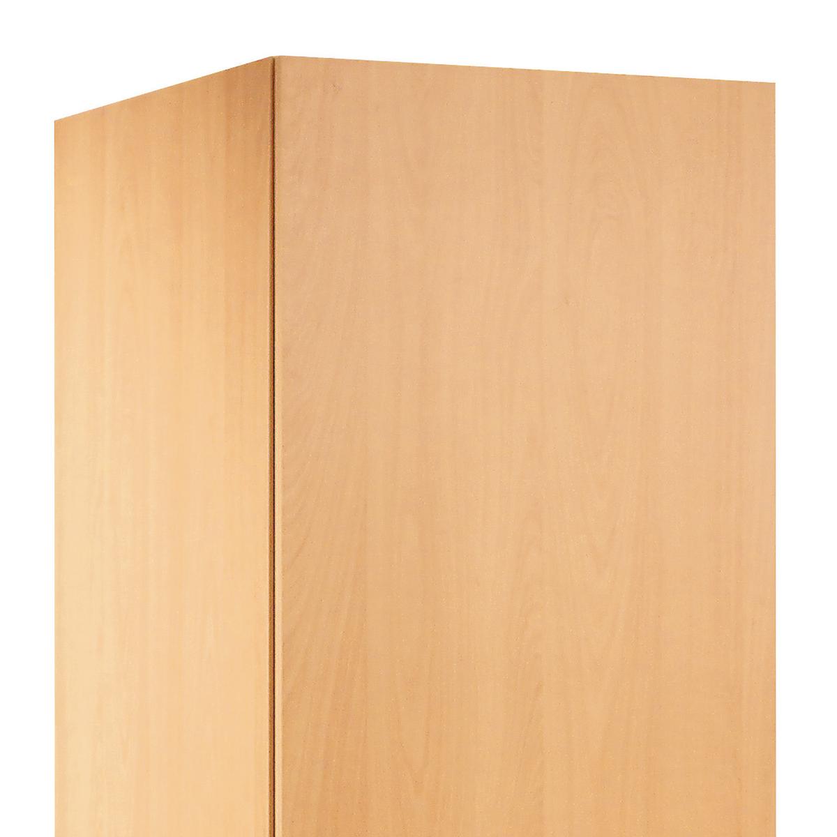 Geschirrschrank "Nano" , Buche - Edelstahlfarben/Buchefarben, MODERN, Holzwerkstoff/Kunststoff (50/200/57cm) - FlexWell
