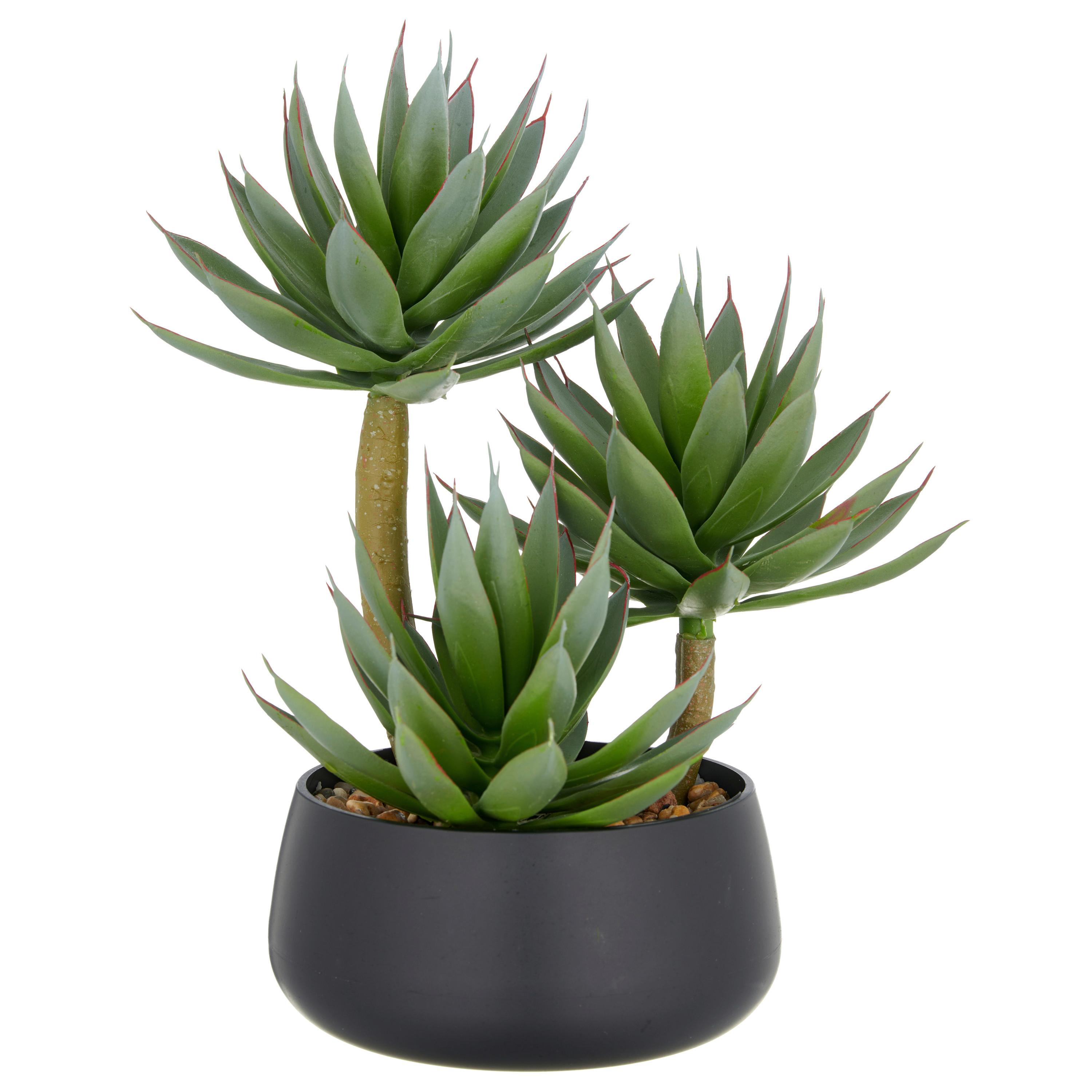 Agave Grün/Hellbraun - Hellbraun/Schwarz, Basics, Kunststoff (28cm)