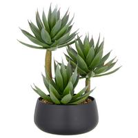 Agave Grün/Hellbraun - Hellbraun/Schwarz, Basics, Kunststoff (28cm)