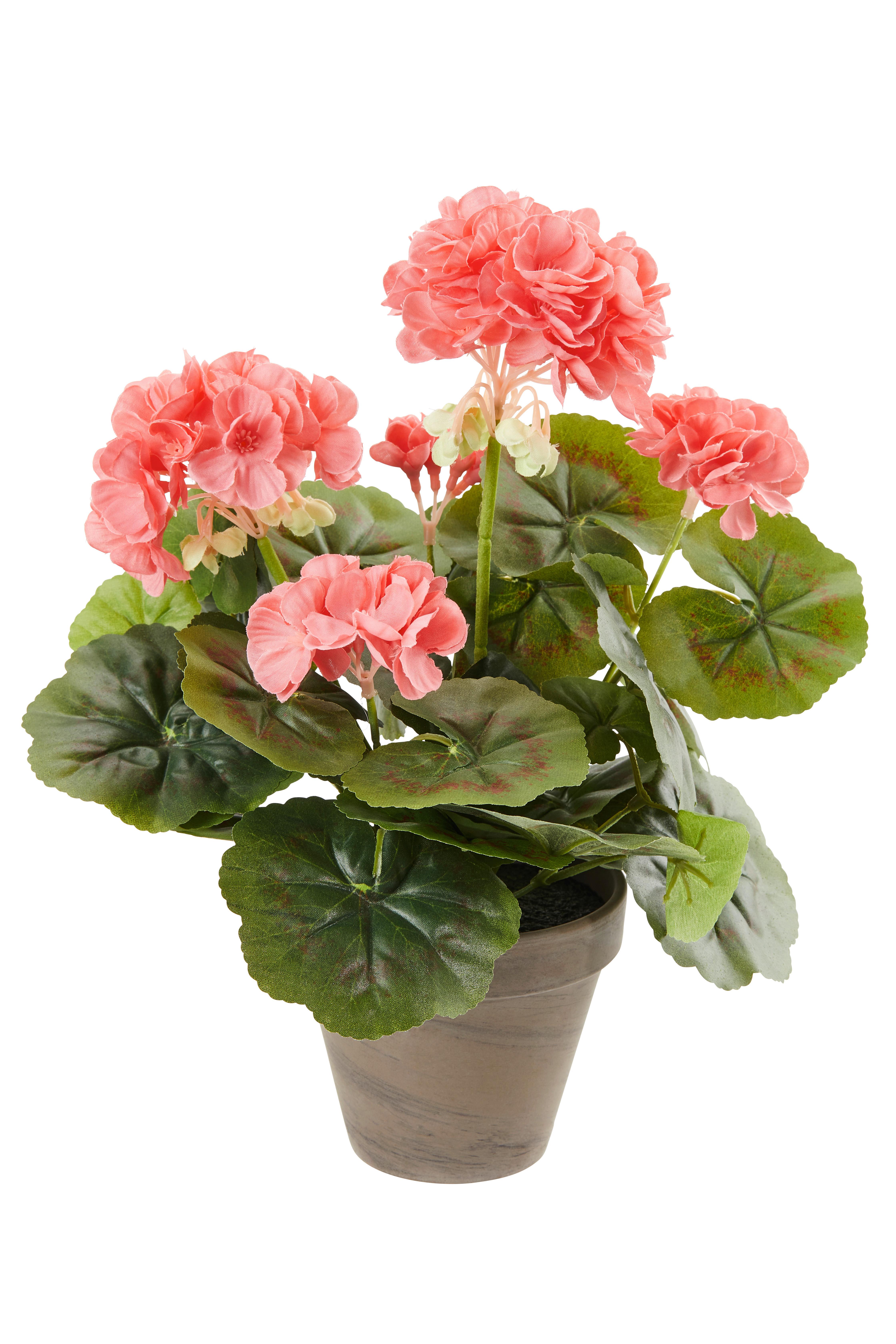 Umetna Rastlina Greta - Konvencionalno (20/34cm) - Mömax