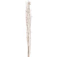 Dekor Ág Cristof - natúr színű, Modern, műanyag (90cm) - Modern Living