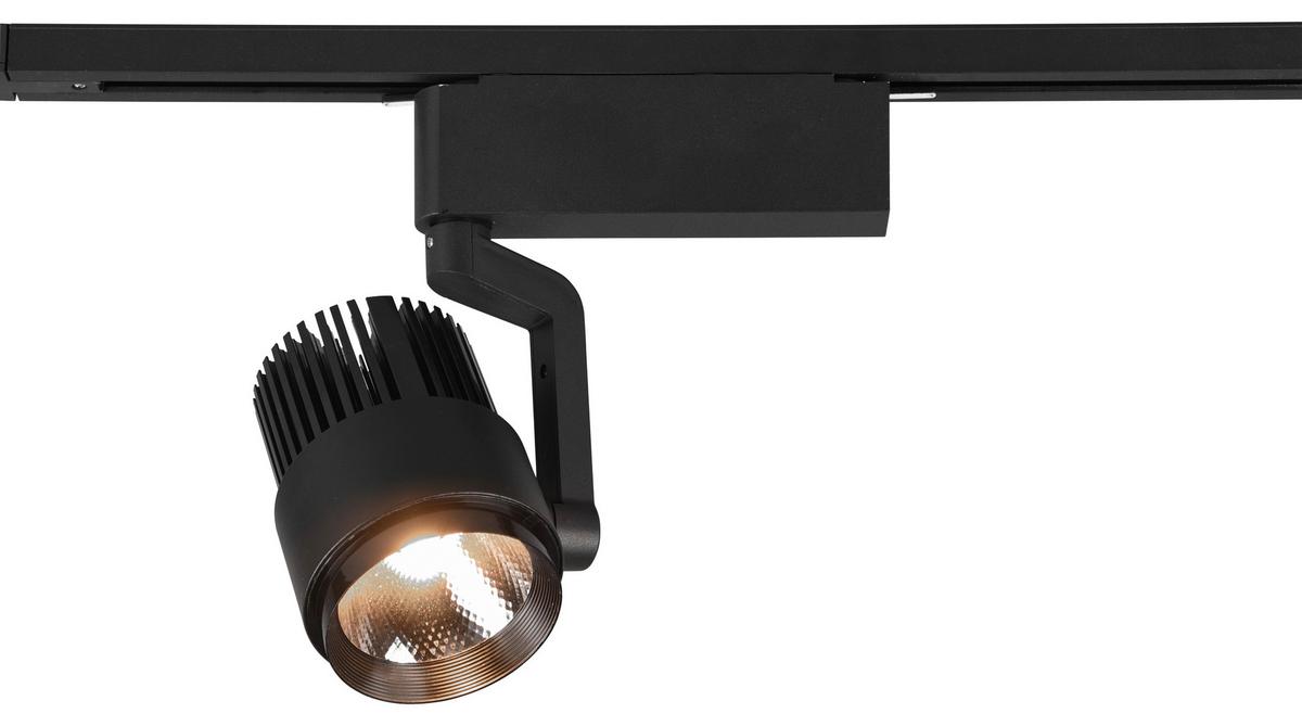 Deckenleuchte Duoline Radiator Schwarz max. 15 Watt - Schwarz, Design, Metall (23/22,3/9cm) - Trio Leuchten