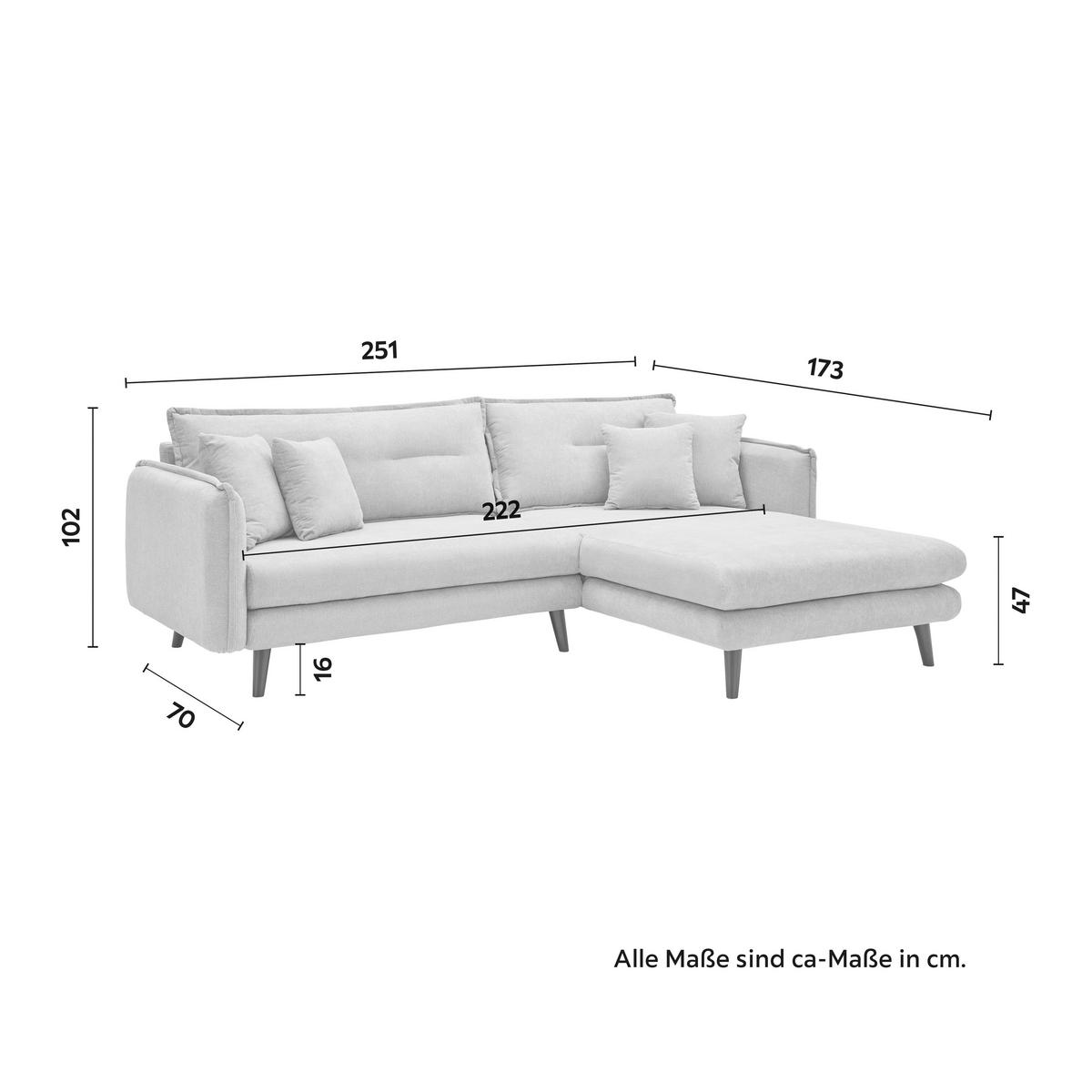 Wohnlandschaft Dajana Hellgrau Webstoff - Hellgrau/Schwarz, Modern, Holz/Textil (251/102/173cm) - Bessagi Home
