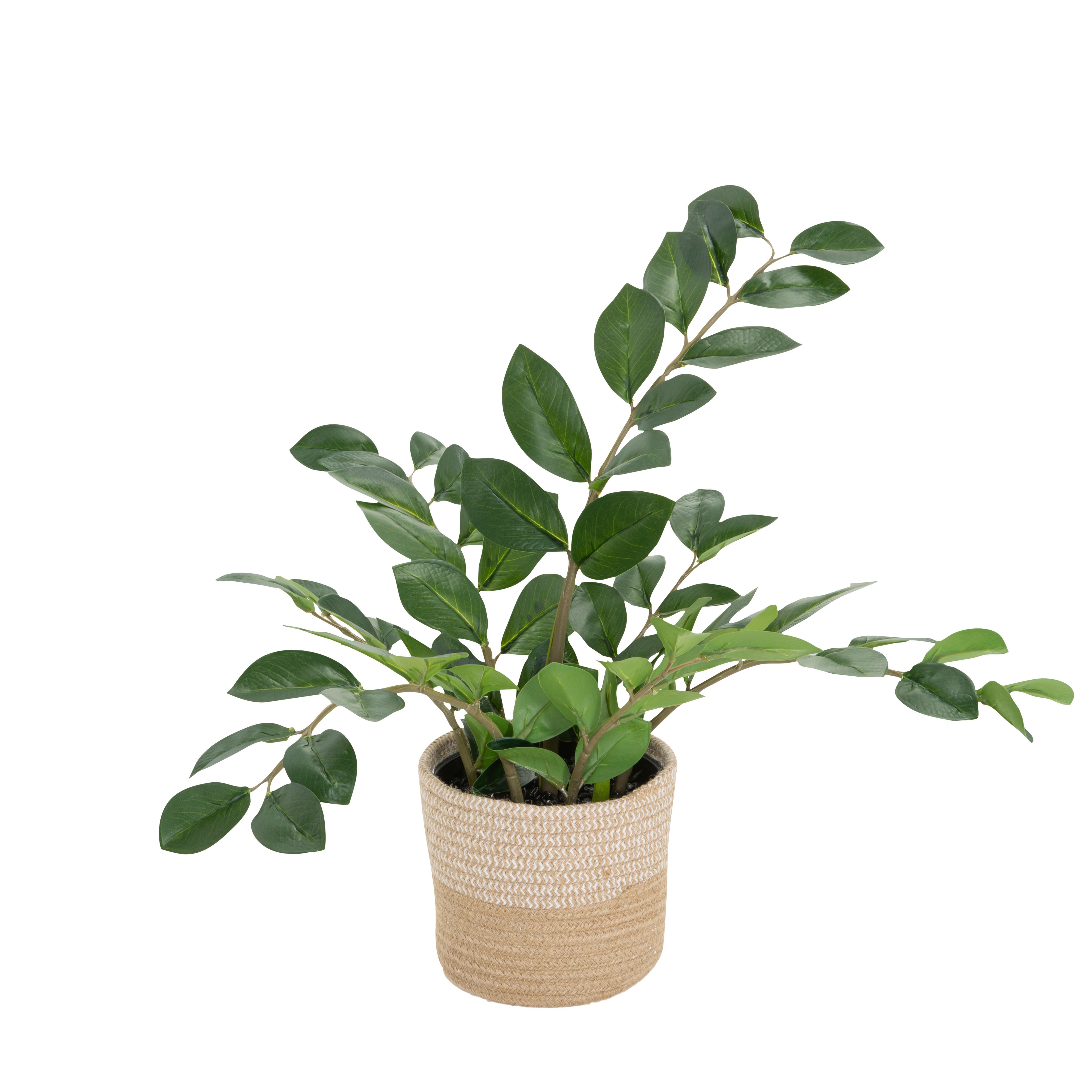 Umetna Rastlina Zamie - svetlo rjava/zelena, Basics, umetna masa/tekstil (50/50/50cm) - MID.YOU