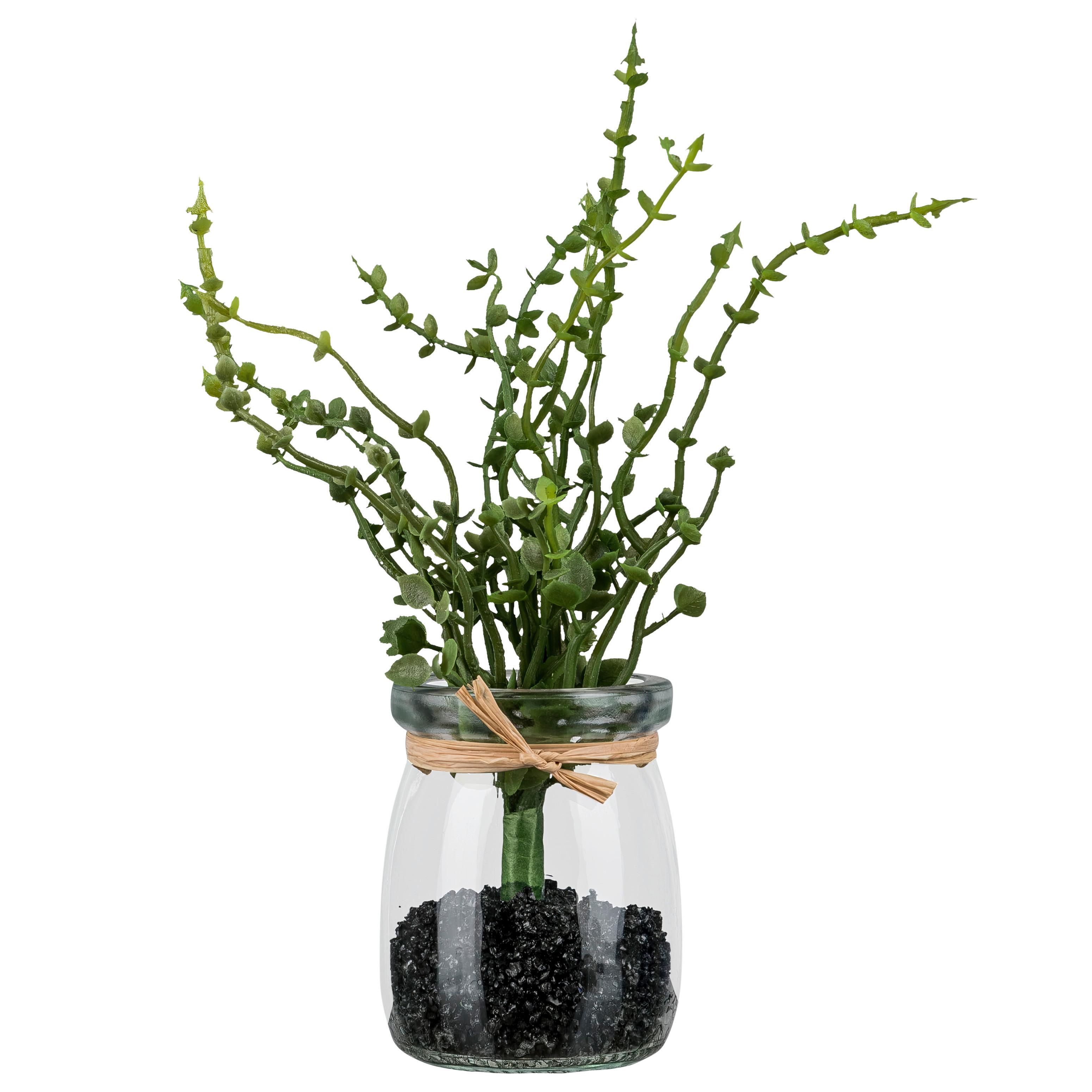 Kunstpflanze Oregano II Grün/Braun - Klar/Braun, KONVENTIONELL, Glas/Kunststoff (18cm) - Mömax