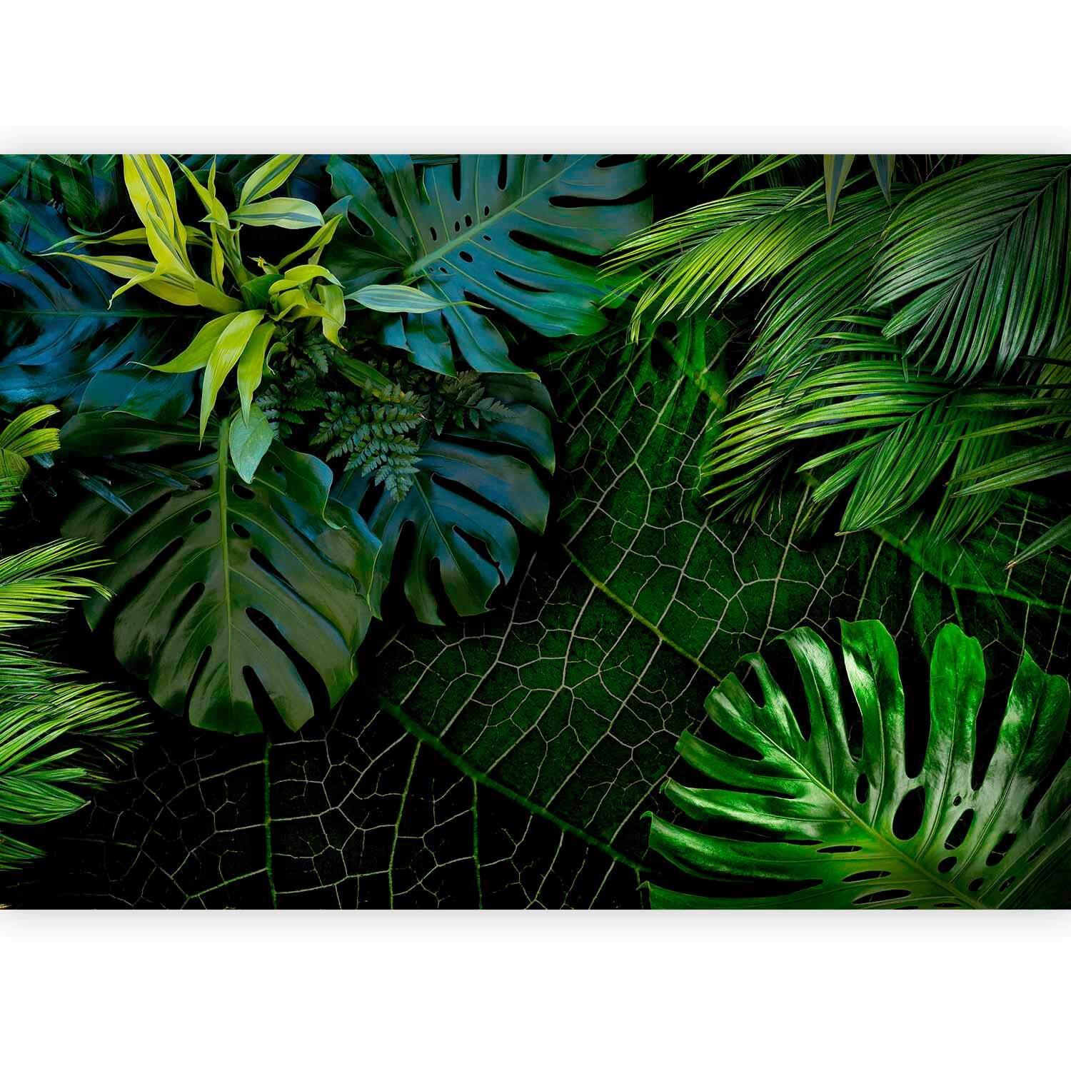 Fototapeta Tropical, Zelena - zelena/temno zelena, Trendi, tekstil (350/245cm) - artgeist