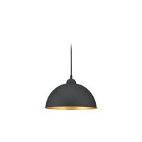 Schienensystem-Hängeleuchte Jimmy Schwarz max. 25 Watt - Schwarz, Basics, Metall (31/180cm) - Trio Leuchten