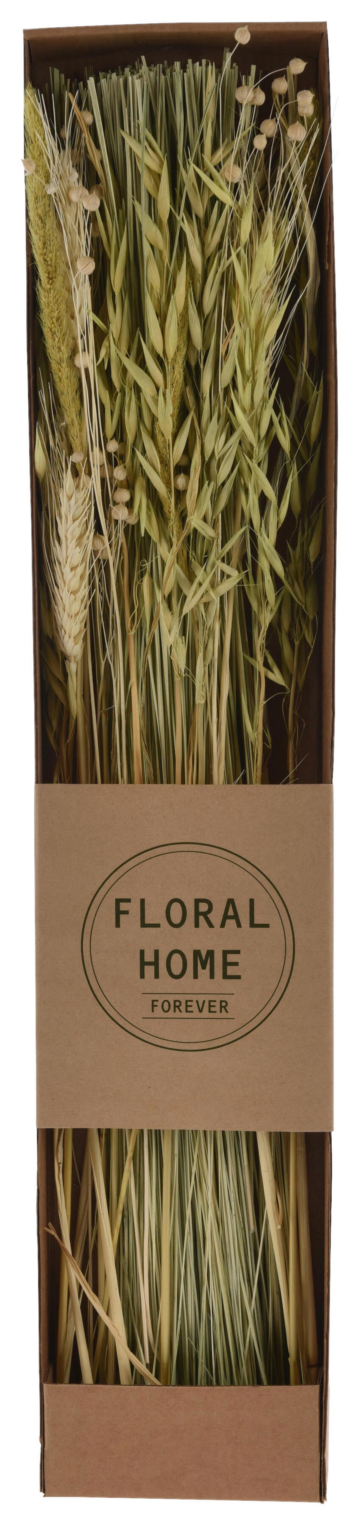 Trockenblume Mira diverse Farben - Dunkelbraun/Beige, Basics, Naturmaterialien (12/60/3,5cm)