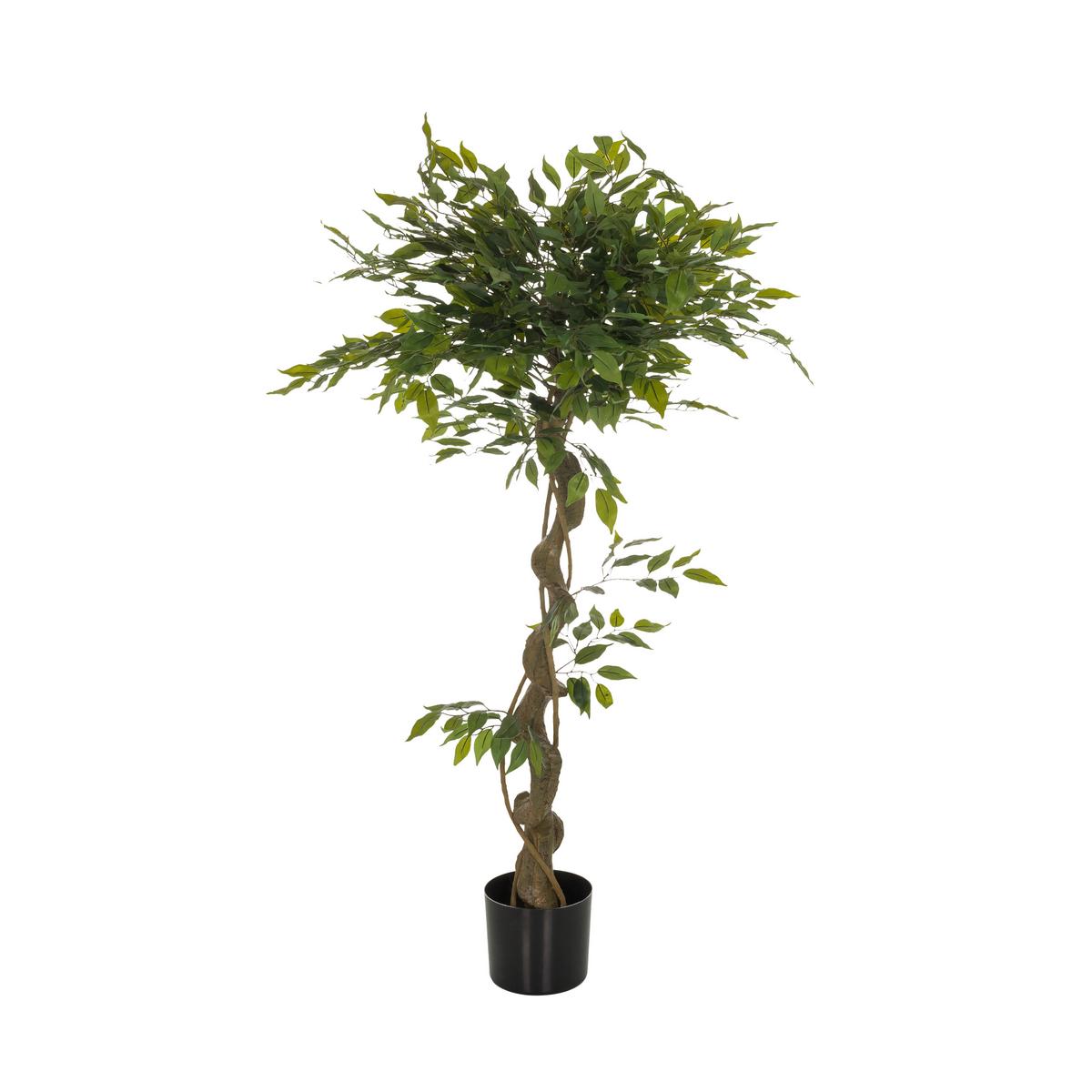 Umetna Rastlina Ficus I - črna/zelena, Basics, umetna masa (70/120/70cm) - MID.YOU