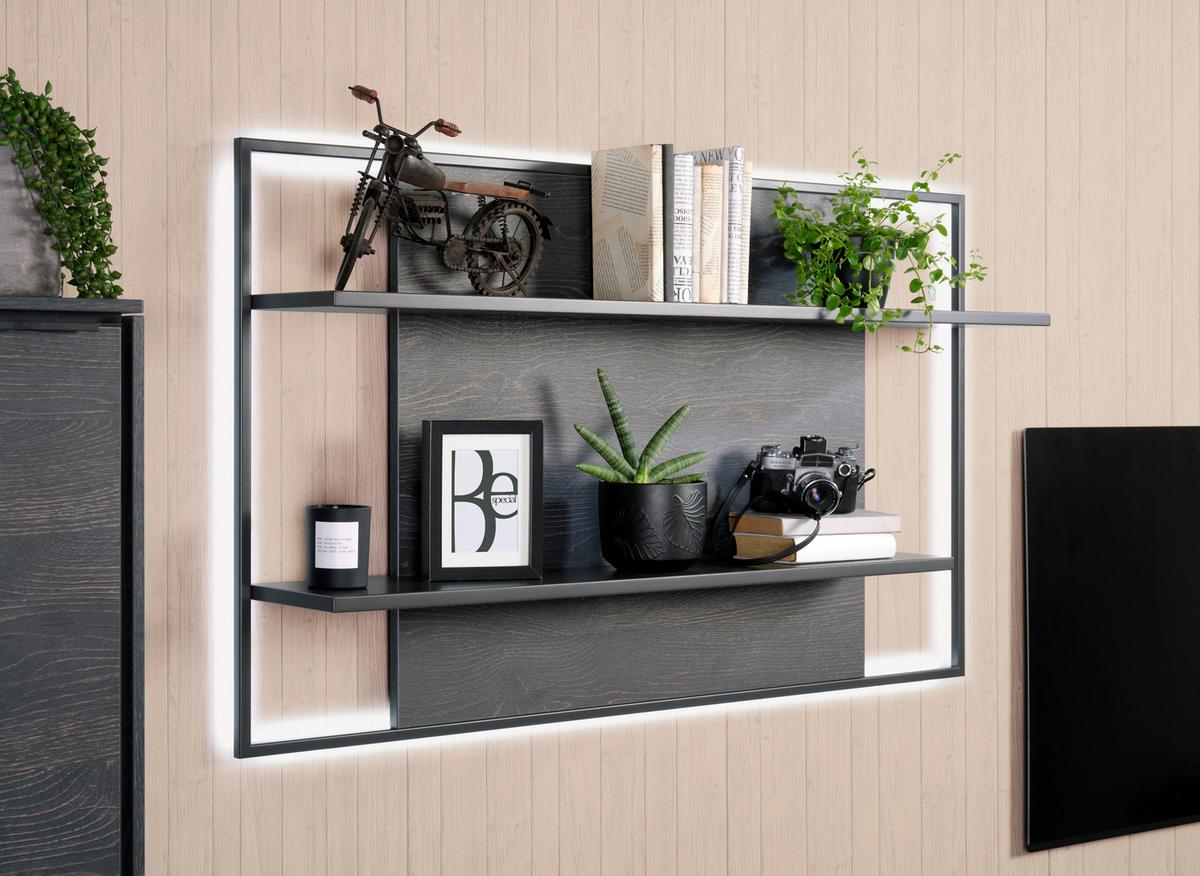Wandpaneel in Anthrazit - Anthrazit, Modern, Holzwerkstoff (129/75/25cm) - Premium Living