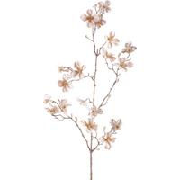 Kunstpflanze Cornus I Beige - Beige, Basics, Kunststoff (87cm) - Mömax