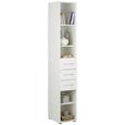 Mehrzweckschrank Mrk - Alufarben/Weiß, Holzwerkstoff/Kunststoff (30/185/40cm) - Mömax modern living Mehrzweckschrank Mrk - Alufarben/Weiß, Holzwerkstoff/Kunststoff (30/185/40cm) - Mömax modern living