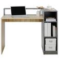 Schreibtisch Grau/Eichefarben - Eichefarben/Grau, MODERN, Holz (120/91,5/67cm) - Mömax modern living Schreibtisch Grau/Eichefarben - Eichefarben/Grau, MODERN, Holz (120/91,5/67cm) - Mömax modern living