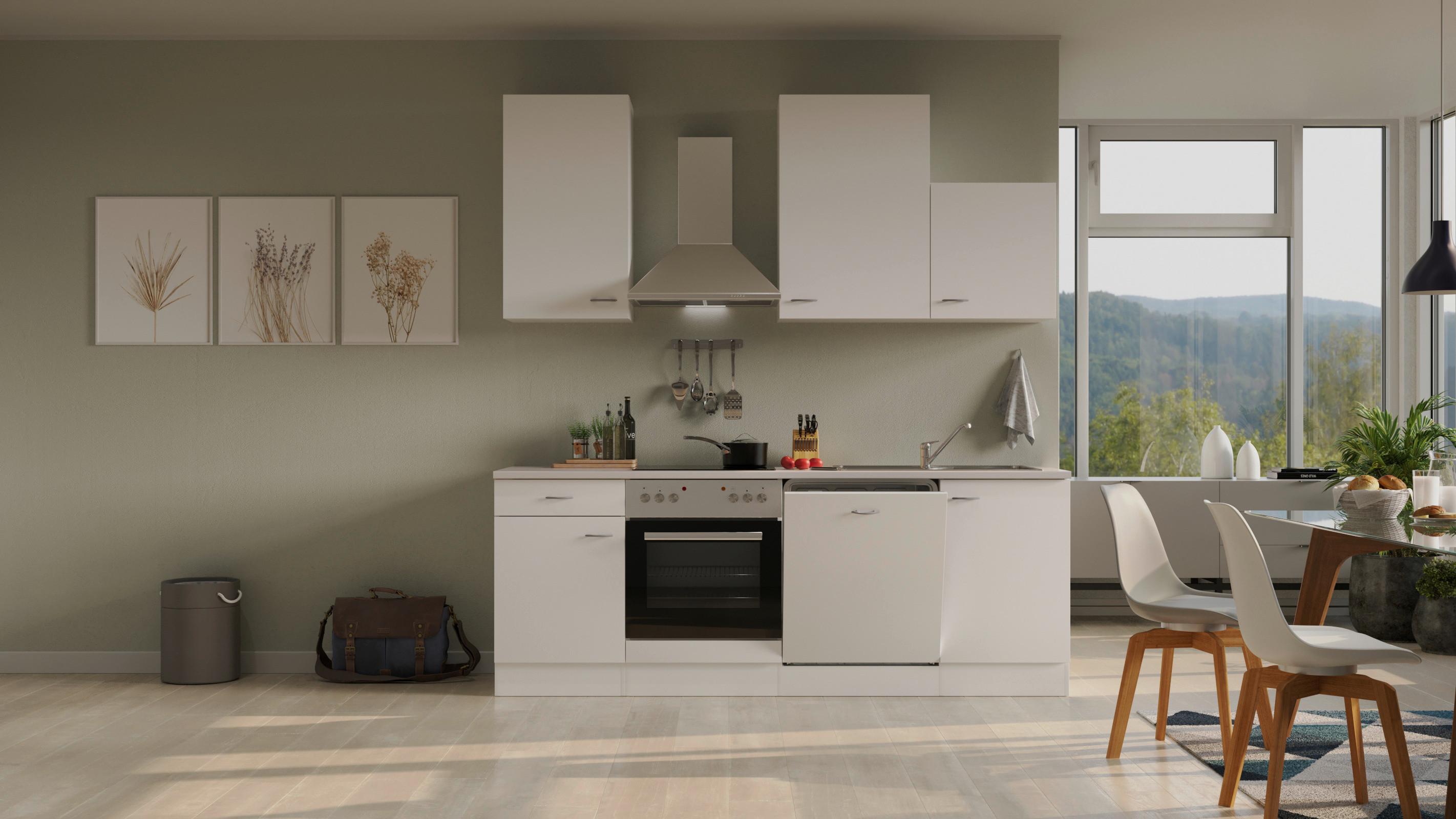 Kuhinjski Blok Z Aparati Wito, Bela - barve nerjavečega jekla/bela, Moderno, umetna masa/leseni material (220cm) - FlexWell