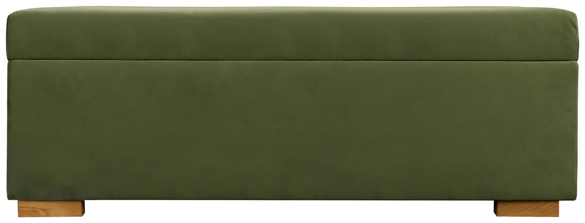Ládapad Leon - sötétzöld, Konventionell, faalapú anyag/textil (117/41/37,5cm)