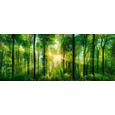 Glasbild Green Sunshine, ca. 50x125x2cm - Grün, Glas (50/125/2cm)