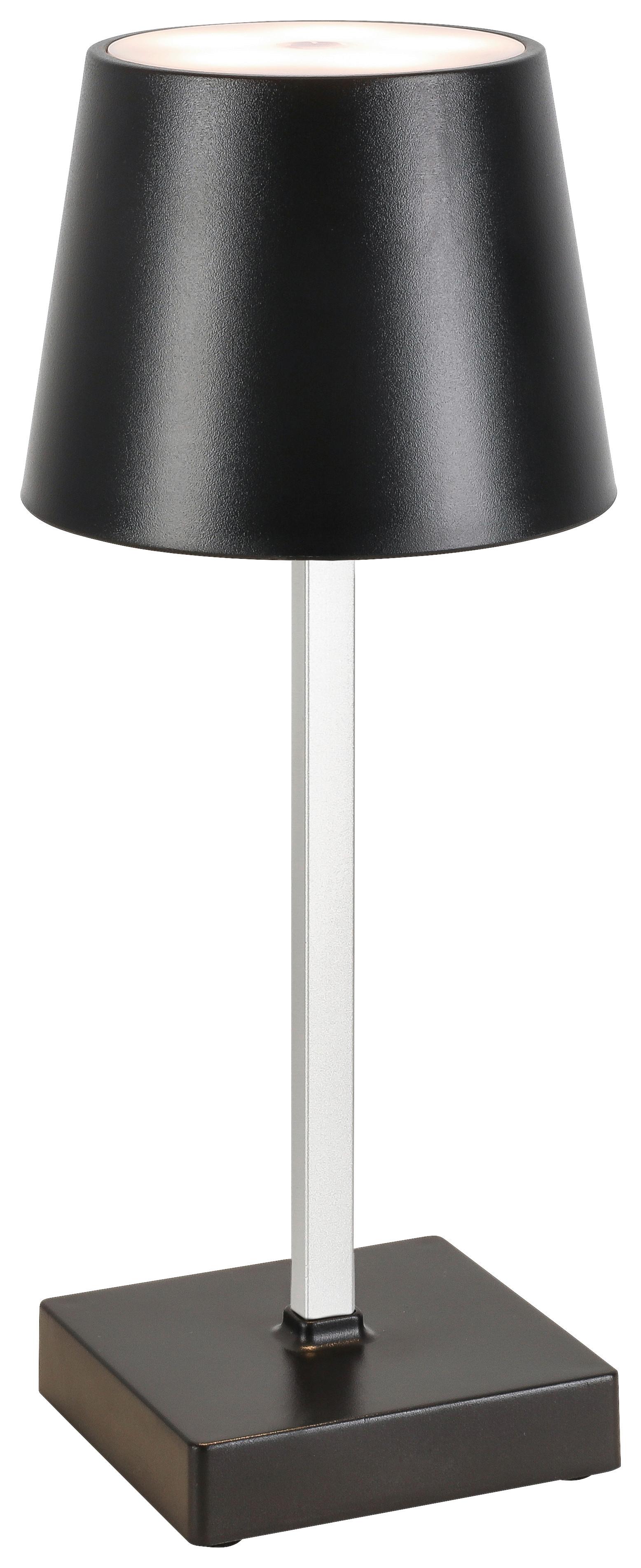LED-Dekoleuchte Gopi Schwarz max. 1,5 Watt - Silberfarben/Schwarz, ROMANTIK / LANDHAUS, Kunststoff/Metall (10,5/26cm) - Modern Living