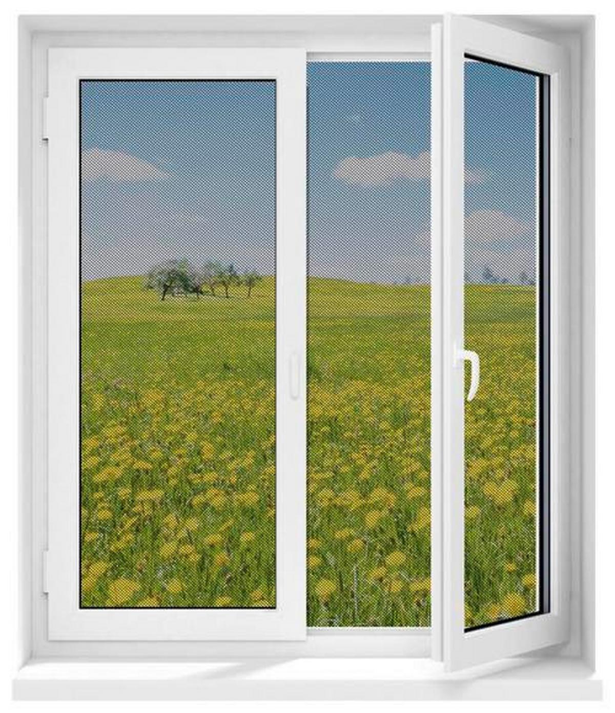 Insektenschutzgitter Magnetbefestigung Anthrazit - Anthrazit, Kunststoff/Metall (130/150cm) - Mömax