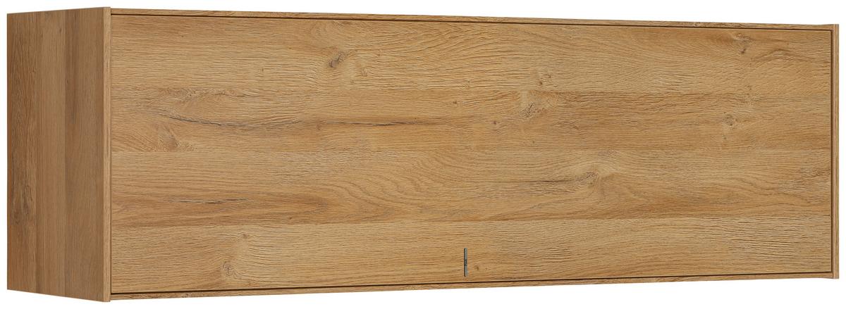 Hängeelement Max Box in Eichefarben - Eichefarben, MODERN, Holzwerkstoff (38/120/32cm) - Premium Living