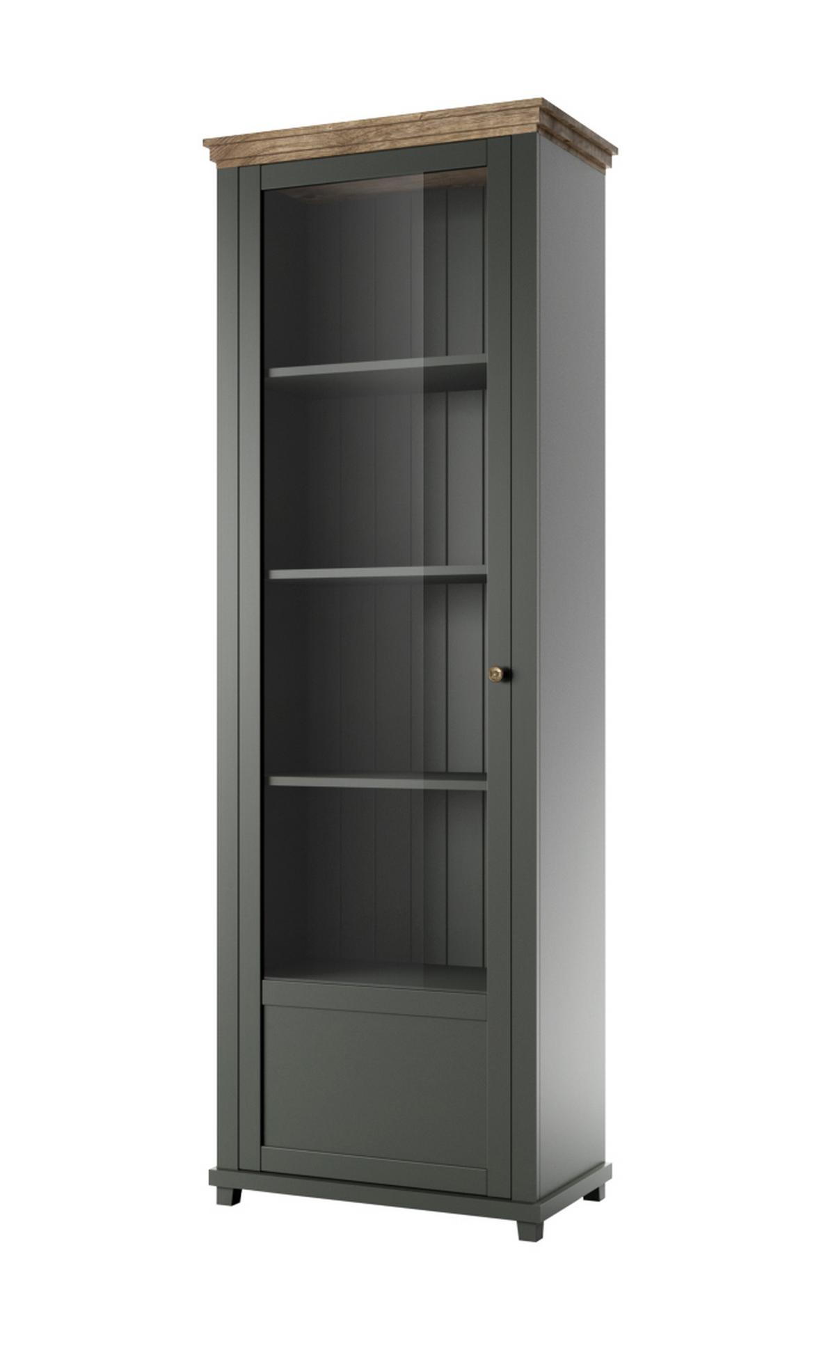 Vitrin Evora - zöld, Design, faalapú anyag/Üveg (71/200/42cm)