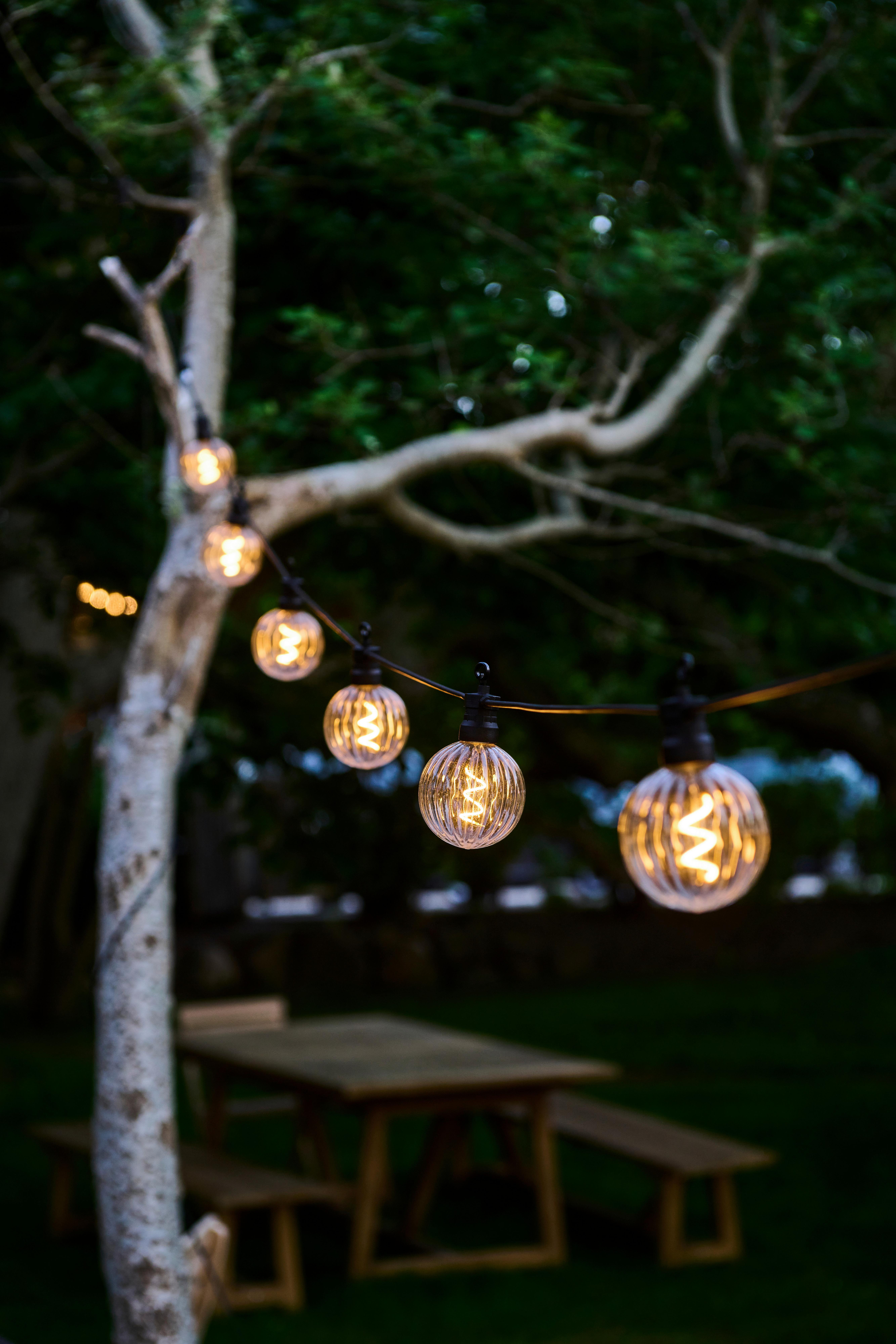 ŁAŃCUCH ŚWIETLNY 69700 LUKE STARTSET 10LED - przejrzysty, Konventionell, tworzywo sztuczne (1000cm)