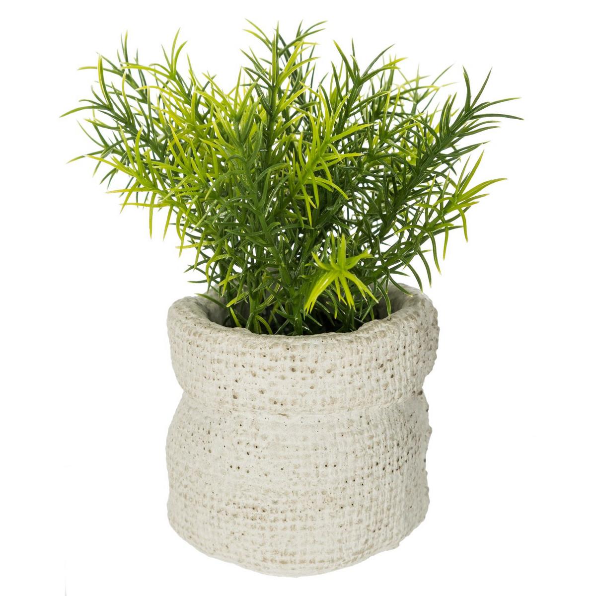 Veštačka Biljka 16cm Cemen - zelena, Osnovno, kamen/plastika (12/16cm)