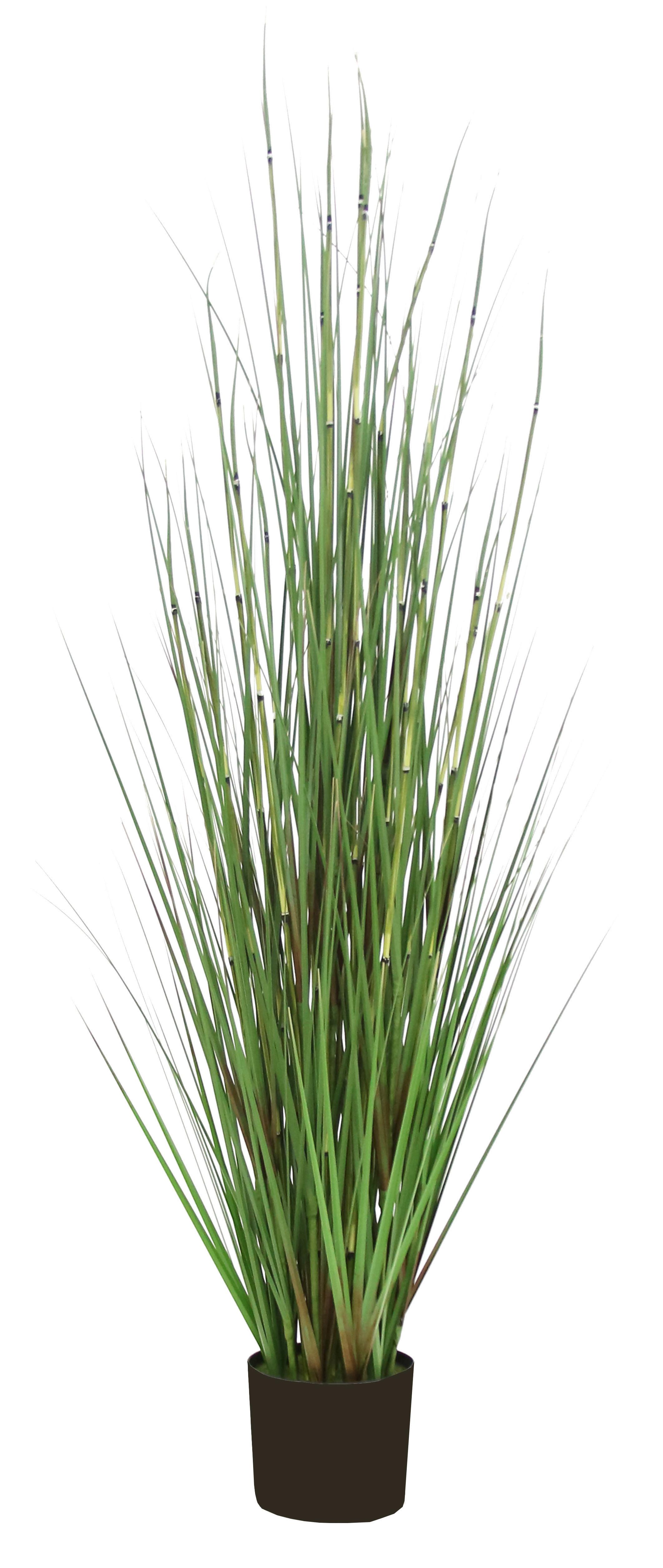 SZTUCZNA ROŚLINA 5058-DG - Basics (150cm) - Ambia Home